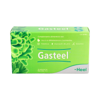 Gasteel 10 sticks